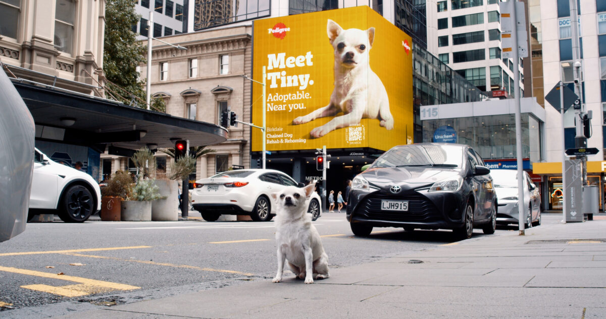 Image showing the dog Tiny in front of a billboard which says '"Meet Tiny" and raises awareness of pet adoption, created with AI tech to help make it more versatile and adaptable. Pet food brand Pedigree is embracing AI in order to create picture perfect ads of shelter dogs in need of a home.